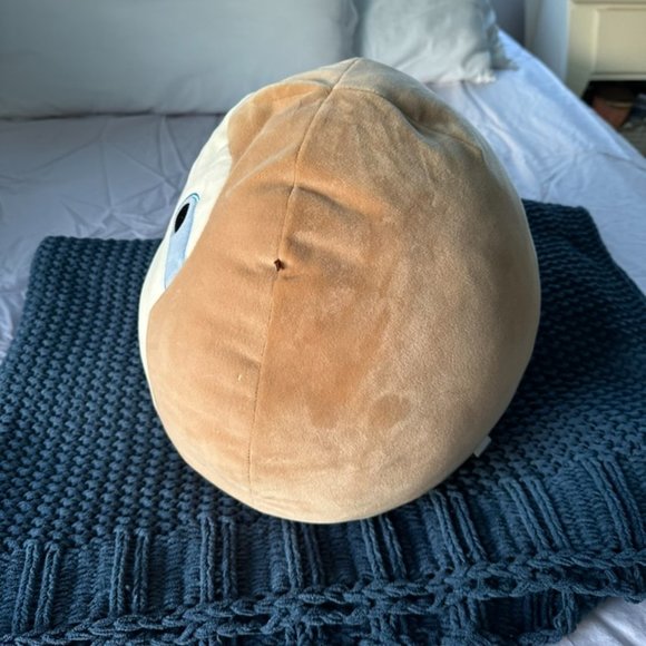 ❣️🐻❄️🧸Squishmallows Shawties 🧸🐻❄️❣️ - Picture 5 of 7